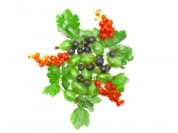 Berry mix- red and black currant, with leaf on white background. Top view. Isolated.