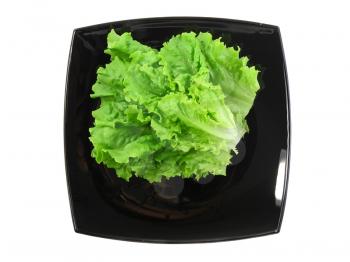 Leaf of lettuce on white background. Isolated over white