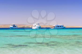 White Yacht in the Red Sea. Egypt.