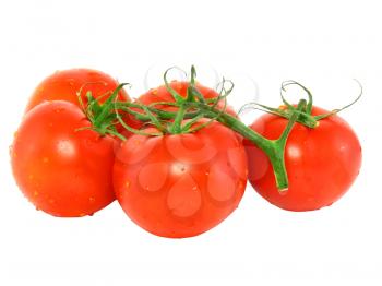 Lush tomato with green branch. Isolated over white