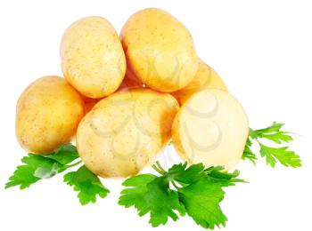 Young potatoes, decorating of parsley . Isolated over white