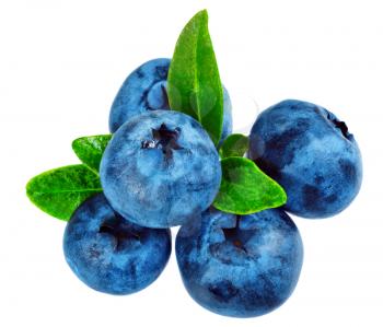 Royalty Free Photo of Five Blueberries