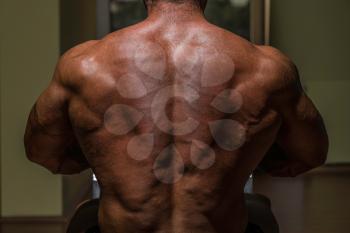 male bodybuilder flexing his back
