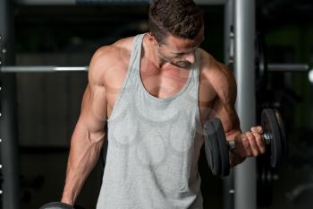 Muscular Man Exercising Biceps In Gym