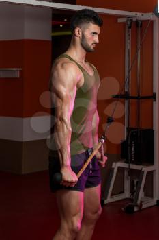 Powerful Muscular Man Exercising Triceps