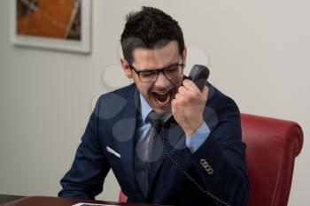Young Businessman Working At His Computer While Talking On The Phone