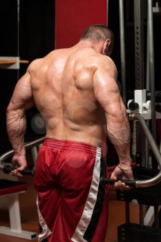 Male Bodybuilder Doing Heavy Weight Exercise For Trapezius