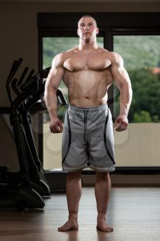 Portrait Of A Young Man Posing Bodybuilding Poses In Modern Fitness Center