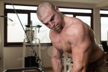 Muscular Man Doing Heavy Weight Exercise For Triceps On Machine In Gym
