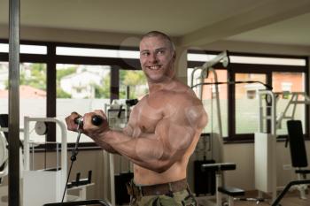 Muscular Man Doing Heavy Weight Exercise For Biceps On Machine In Gym