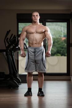 Portrait Of A Young Man Posing Bodybuilding Poses In Modern Fitness Center