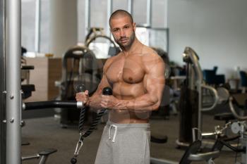 Young Bodybuilder Doing Heavy Weight Exercise For Biceps