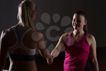 Two Beautiful Female Tennis Players Holding Rackets And Shaking Hands Over The Net - Isolated On Black