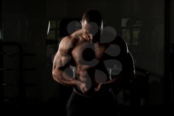 Bodybuilder Posing - Handsome Power Athletic Guy Male - Fitness Muscular Body