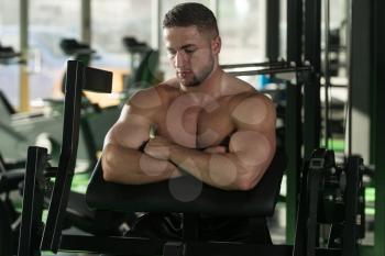 Good Looking And Attractive Young Man With Muscular Body Relaxing In Gym