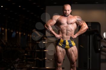 Bodybuilder Posing - Handsome Power Athletic Guy Male - Fitness Muscular Body