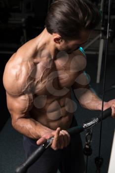 Handsome Muscular Fitness Bodybuilder Doing Heavy Weight Exercise For Biceps On Machine With Cable In The Gym