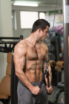 Young Hairy Muscular Fitness Bodybuilder Doing Heavy Weight Exercise For Triceps On Machine In The Gym