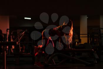 Siluet Fitness Woman Working Out Back In Fitness Center - Dumbbell Concentration Curls