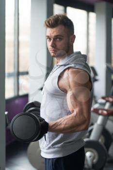 Young Man Working Out Biceps In Gym - Dumbbell Concentration Curls