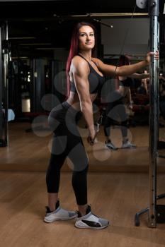 Woman Working Out Triceps In A Gym On Machine With Cable