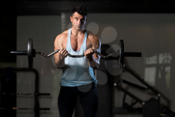 Healthy Man Working Out Biceps In A Fitness Center Gym