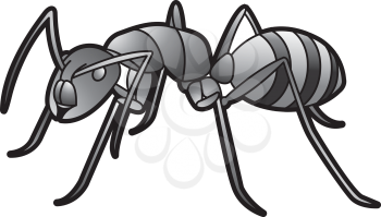 Royalty Free Clipart Image of an Ant