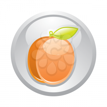 Gray button Apricot, vector, design element