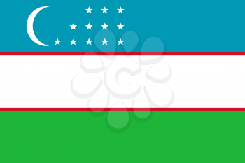 Flag of Uzbekistan. Rectangular shape icon on white background, vector illustration.