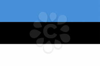 Flag of Estonia. Rectangular shape icon on white background, vector illustration.