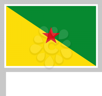 Guyane flag on flagpole, rectangular shape icon on white background, vector illustration.