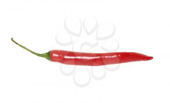 Royalty Free Photo of a Chilli Pepper