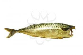 smoked fish isolated on white