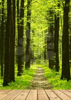 wood textured backgrounds on the forest backgrounds