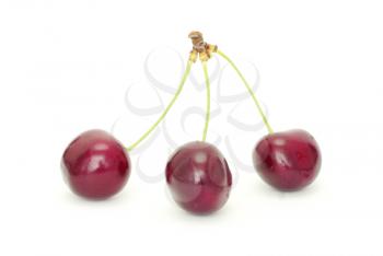 Sweet cherry isolated on white