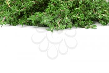 thyme on white isolated background