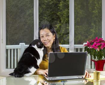Mature Asian woman and family cat cuddling while working at home with large windows in background