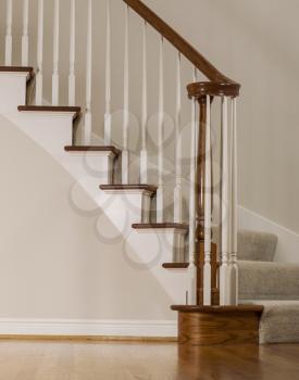 Wooden oak staircase with carpet steps and white molding