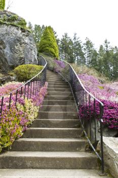 Staircase surrounded by flowers leading into woods