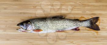 Horizontal photo of a wild Cutthroat trout, in pristine condition, on natural bamboo board 