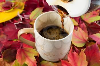 Horizontal photo of fresh coffee being poured, focus on spout of pot,  into cup with seasonal autumn leaves surrounding mug 