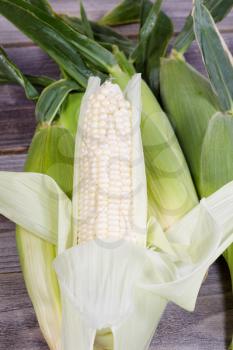 Vertical view of white sweet corn peeled back from stalk with wholel corn in background on top of rustic wood