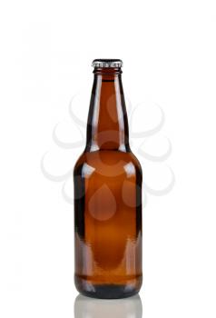 Closeup vertical image of a single unopened brown beer bottle on white with reflection