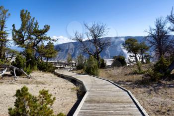 Horizontal image of walkway into hot springs, steam visible, within Yellowstone National Park with blue sky and clouds in background