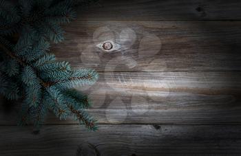 Christmas Tree Branch on Rustic wooden boards with vignette border 