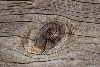 Close up of weathered wood with knot in center