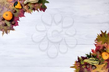 White wooden background with autumn leaves, acorns and gourds in corners. 