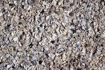 Flat view of pathway consisting of finely crushed seashells 