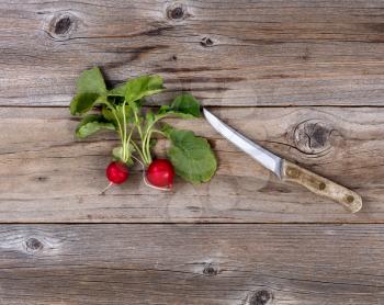 Fresh radish and paring knife on rustic wood in flat lay format