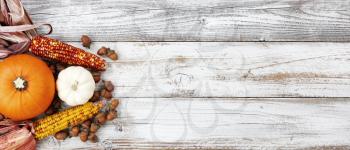 Autumn decorations of pumpkin, gourd, corn and acorns on white rustic wooden boards for Halloween or Thanksgiving holiday concept